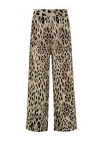 18180131_94_5-CALCA-SALETE