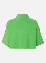 11114644_51_6-BLUSA-POLO-GREEN-BEACH-ZEBRA