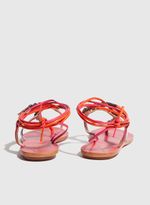 29141221_19_4-HYBRID-SNAKE-COLOR