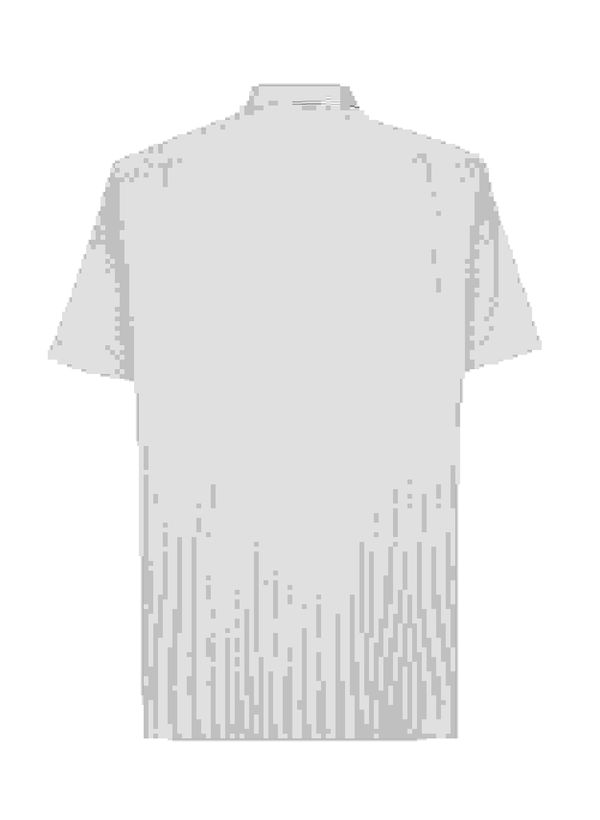 68040506_04_3-CAMISA-ROBERTO-II