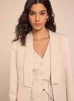 21040441_86_2-BLAZER-THEODORE