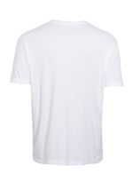08771332_05_2-TSHIRT-MC-COQUEIRO-AQUARELADO