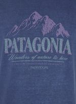 08771496_40_2-TSHIRT-MC-PATAGONIA-RETRO