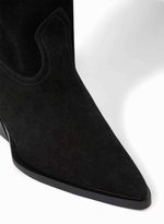 30250109_09_3-BOTA-CANDIDA