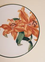 60720233_94_2-PRATO-RASO-LIRIO-LARANJA