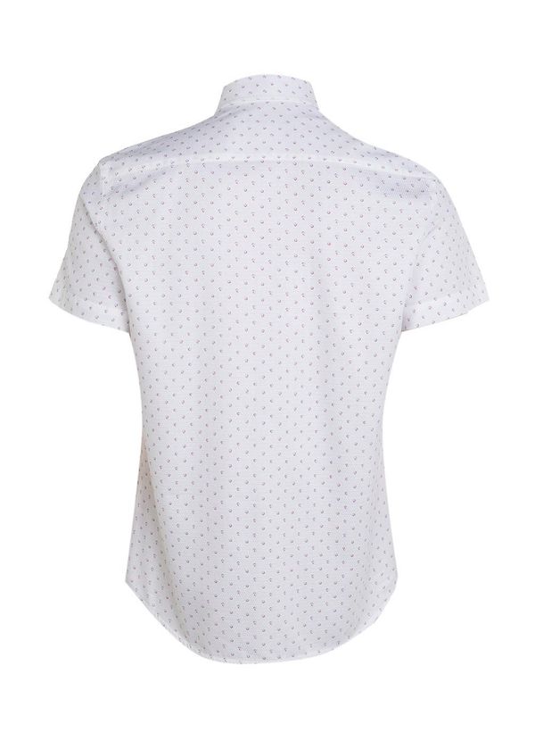 68040498_101_2-CAMISA-FERNANDO