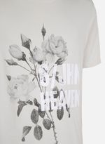 42545802_79_7-TS-RG-HEAVEN-ROSE