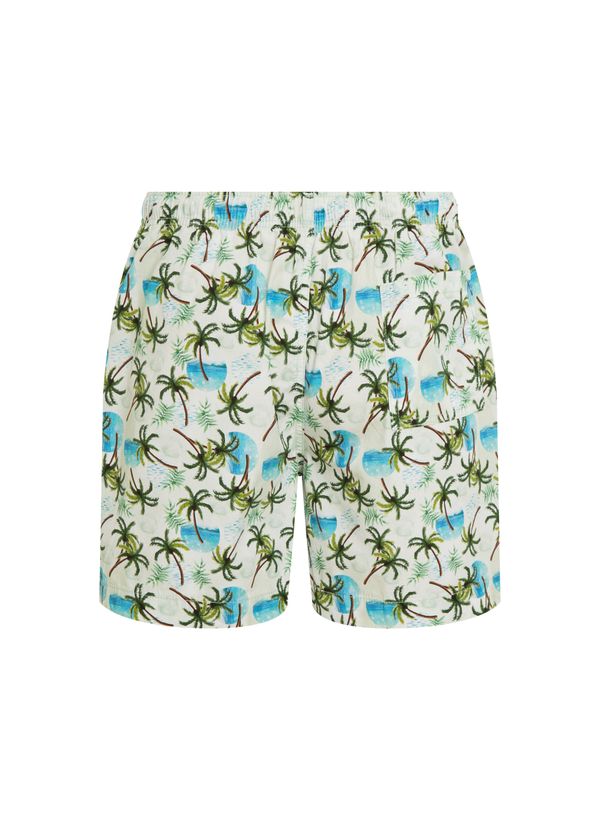 image-855fa5874cf746358e731f6020b35b9c