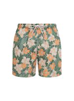 image-b900998da6cc44a7af5f4da1ab3e93b5