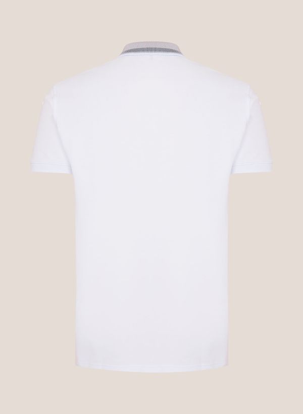 image-8a0c50ae5c86452c8e4c02bf4dbb4f85