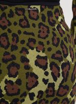 16112550_30_4-SAIA-LEOPARD