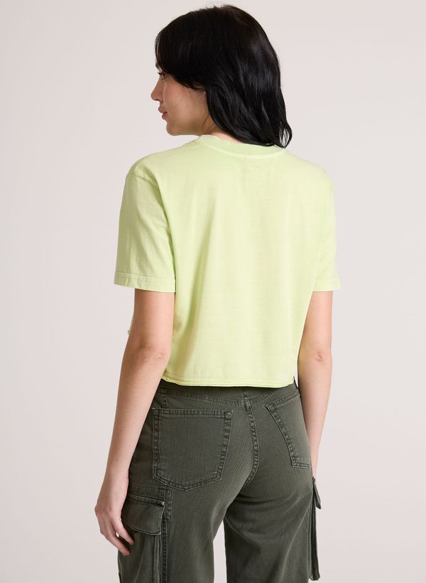 03620520_54_5-T-SHIRT-SALTY-SOUL-GREEN