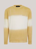 78170117_16_1-TRICO-DEGRADE