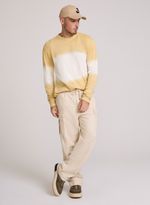 78170117_16_3-TRICO-DEGRADE