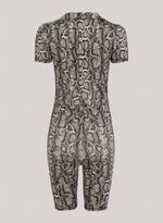 image-227bf33d66fb4272a251ed7cd8b26442