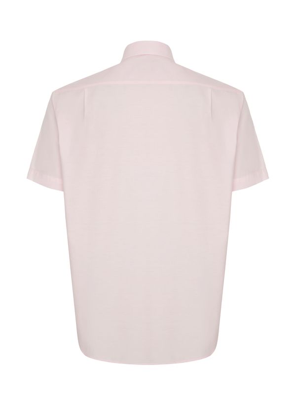 image-cf45ed9939124a8586cfa5c78d4b0416