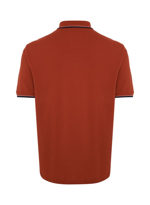 image-3d4429337eea47c6a924fedbda345ed7