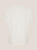41020006_11_7-TSHIRT-MC-COTTON-FLEX