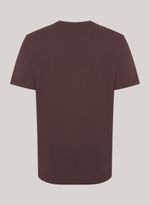 42547287_59_4-T-SHIRT-RG-AIR-MARROM
