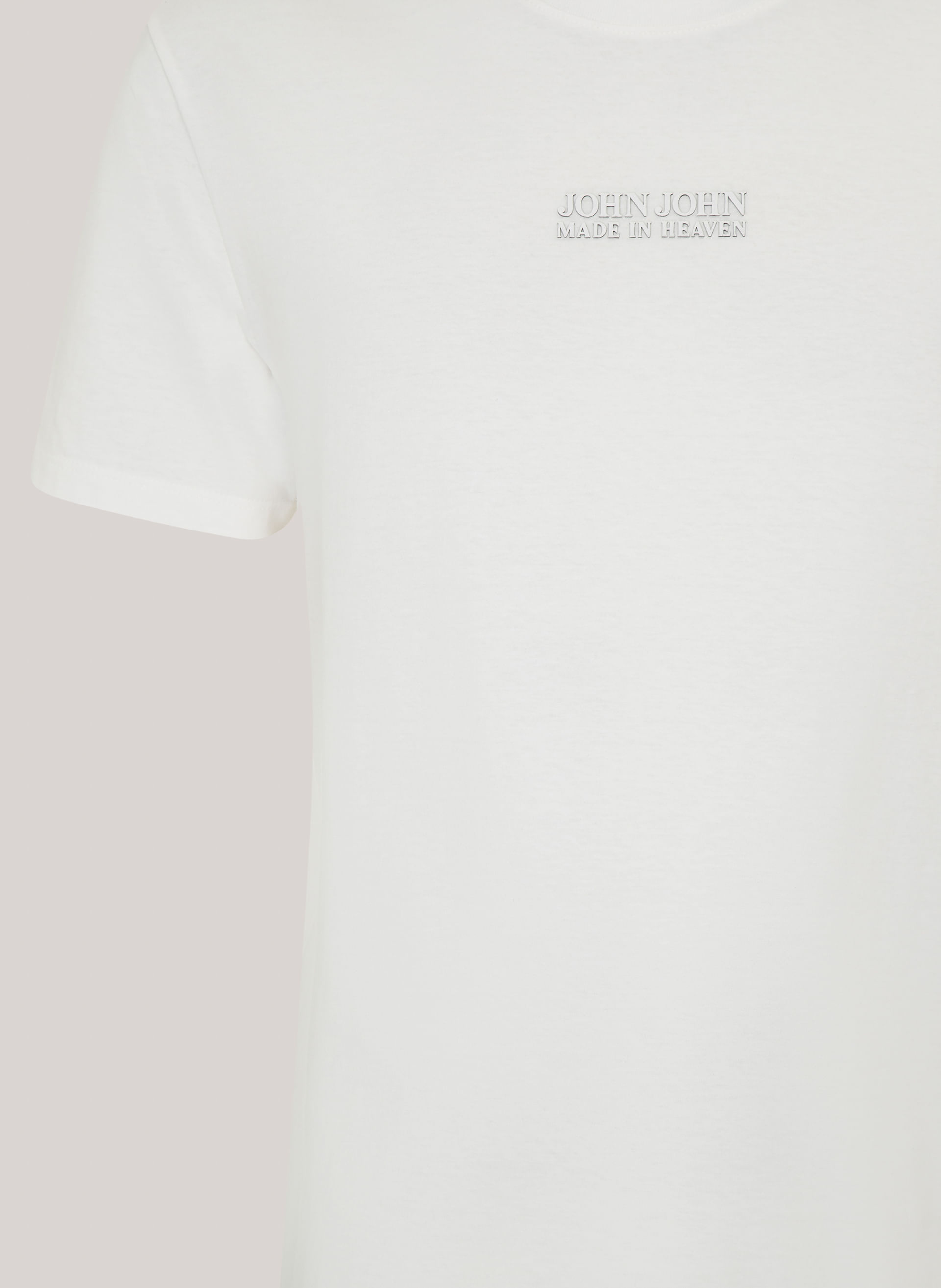 Camiseta Regular Fit Brand Relief John John Masculina