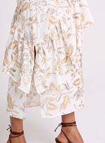15044190_11_5-SAIA-AMICE