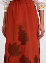 16112625_29_5-SAIA-AMELIA
